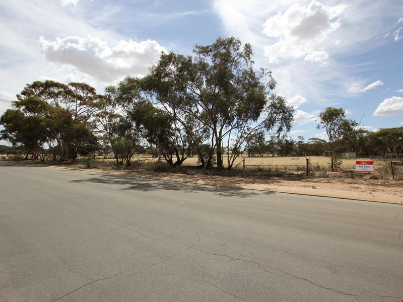 Lot 332 Barr Street, Merredin WA 6415