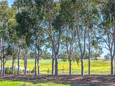 10 Wanju  Drive, Wundowie WA 6560