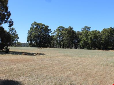 Proposed Lot 1 Needham Road, Wooroloo WA 6558