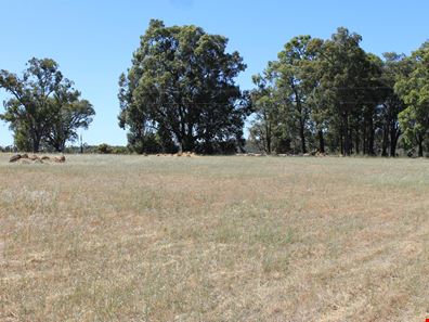 Proposed Lot 1 Needham Road, Wooroloo WA 6558