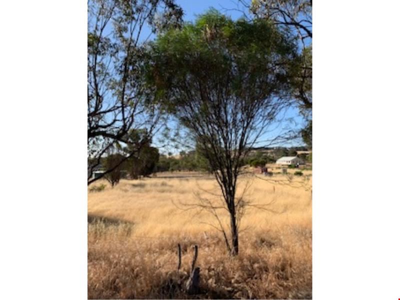 177 Narrogin Road, Williams
