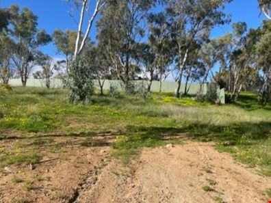 42 Arundle Avenue, Greenmount WA 6056