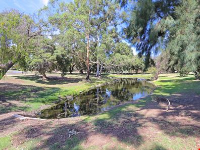 9A Morphett Crescent, Bateman WA 6150