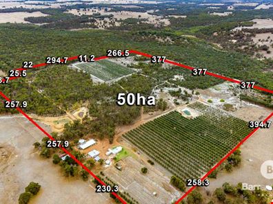 48 Wheeler Road, Bowelling WA 6225