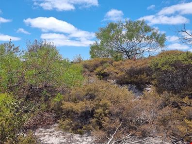 Lot 309,  Pindari Place, Karakin WA 6044