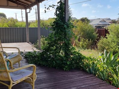 197 Augustus Street, Beachlands WA 6530