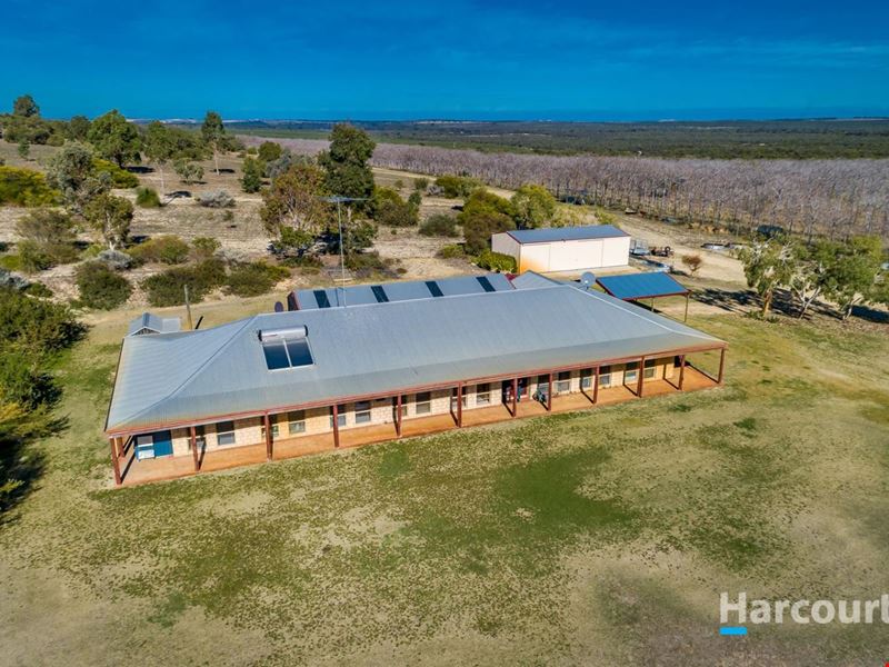109 Caladenia Road, Wanerie WA 6503
