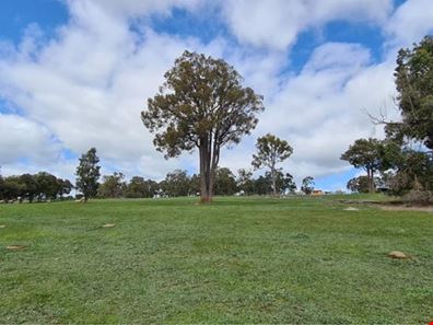 13 Kaufmann Close, Boyup Brook WA 6244