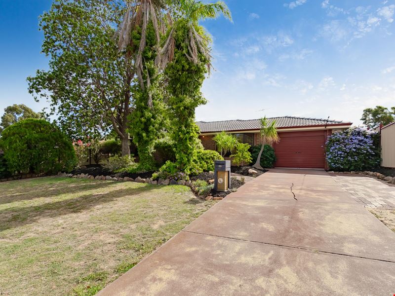 28 Manberry Way, Yangebup WA 6164