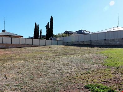 10 Birdie Place, Northam WA 6401