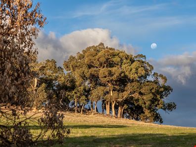 640/ McGlew Road, Lower Chittering WA 6084