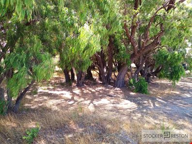 31 Blackwood Avenue, Augusta WA 6290