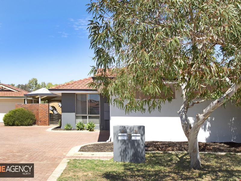 7A Vladich Court, Balcatta WA 6021