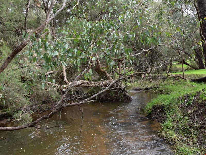 4 Owen Road, Parkerville WA 6081