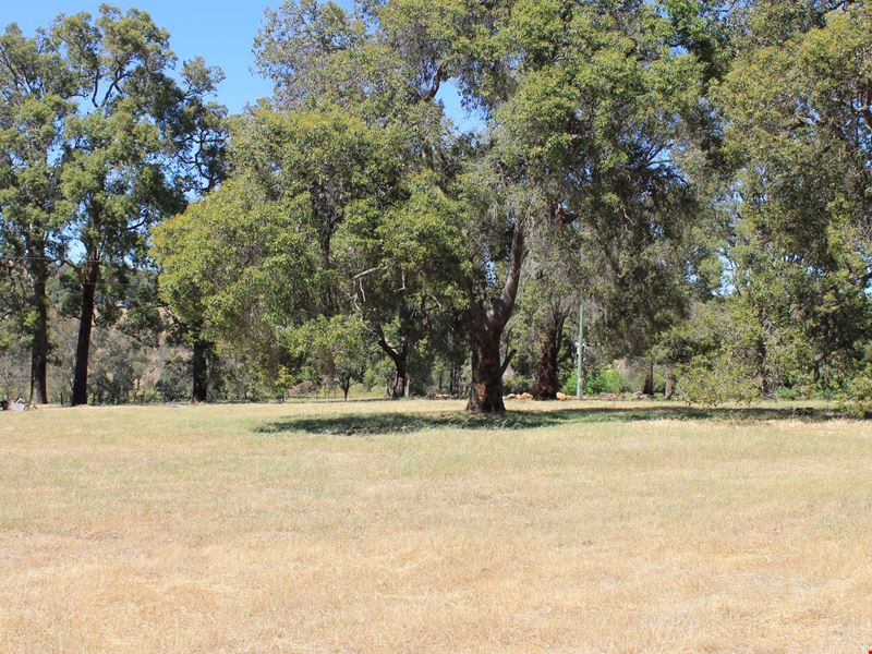Proposed Lot 3 Needham Road, Wooroloo WA 6558