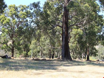 Proposed Lot 3 Needham Road, Wooroloo WA 6558