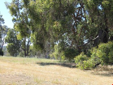 Proposed Lot 3 Needham Road, Wooroloo WA 6558