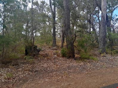 82 Sabina Drive, Molloy Island WA 6290