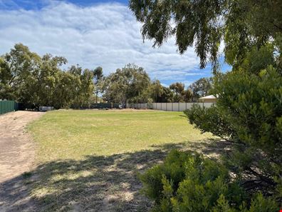 20 Bayliss Road, Dongara WA 6525