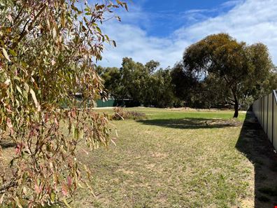 20 Bayliss Road, Dongara WA 6525