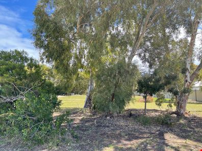 20 Bayliss Road, Dongara WA 6525