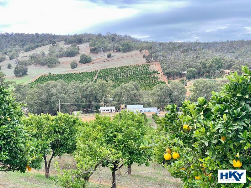 1378 Chittering Road, Lower Chittering WA 6084