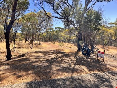 180 Horseshoe Road, Coondle WA 6566
