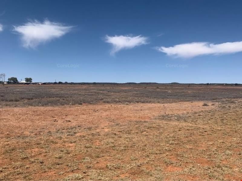 74 Mahon Street, Menzies WA 6436