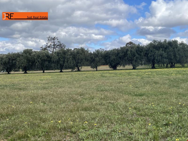 1640 Ash Road, Chidlow WA 6556