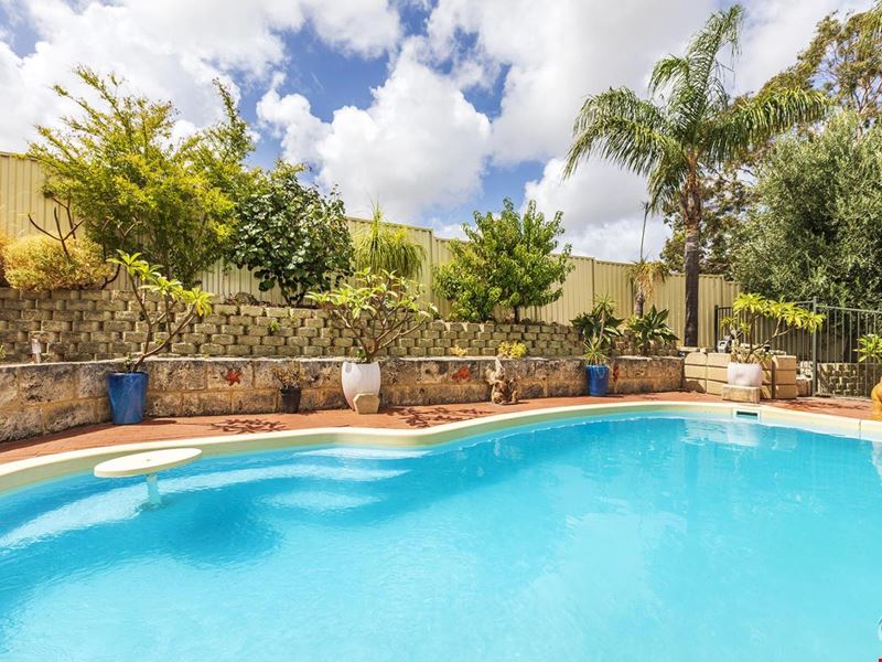 7 Robertson Place, Bibra Lake WA 6163