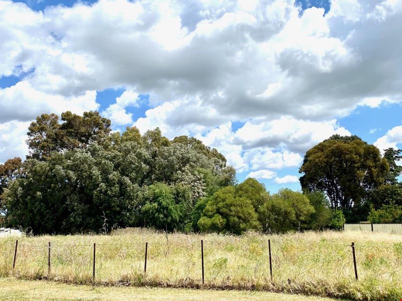 9 Pisconeri Heights, Waroona WA 6215