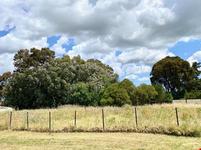 9 Pisconeri Heights, Waroona WA 6215