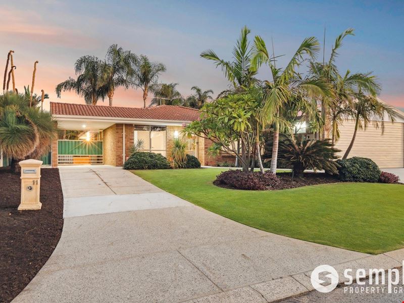 11 Larkspur Cross, Yangebup WA 6164