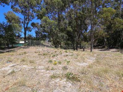 37 (Lot 800) Foy Street, Esperance WA 6450