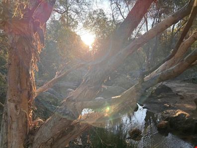 1 Tillbrook Street, Glen Forrest WA 6071