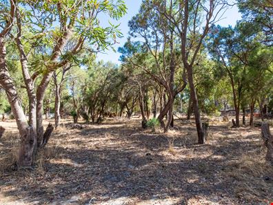 71 Red Road, Parklands WA 6180