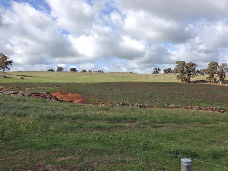 Lot 39 Bates Road, Williams WA 6391
