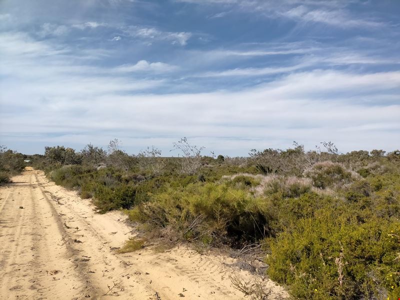 Lot 208,  Olive Grove, Karakin WA 6044