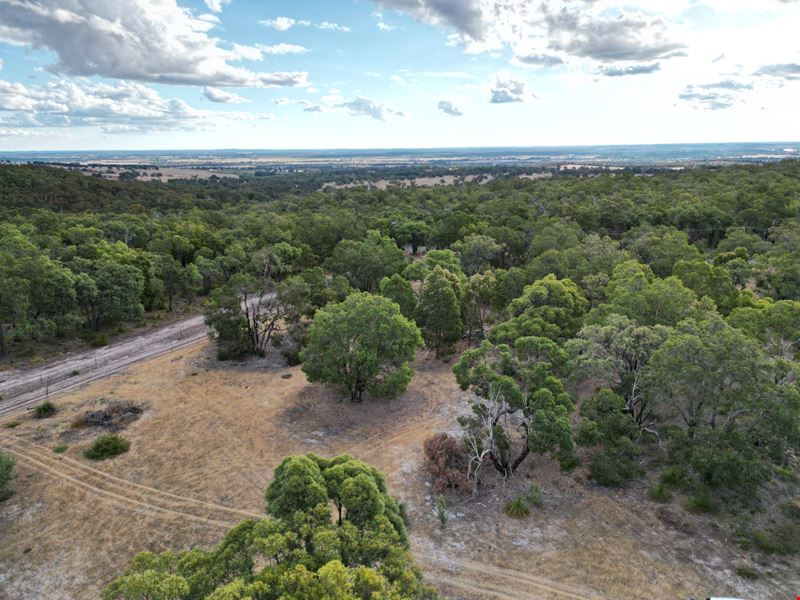 203/ Polinelli Road, Lower Chittering WA 6084