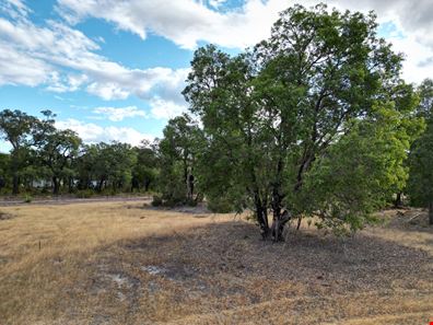 203/ Polinelli Road, Lower Chittering WA 6084