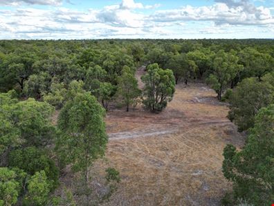 203/ Polinelli Road, Lower Chittering WA 6084