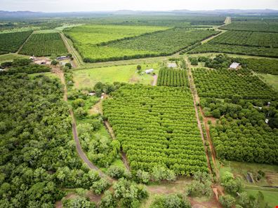 Lot 528 River Farm Road, Kununurra WA 6743