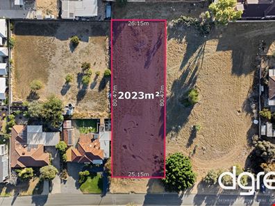 53 Davilak Avenue, Hamilton Hill WA 6163