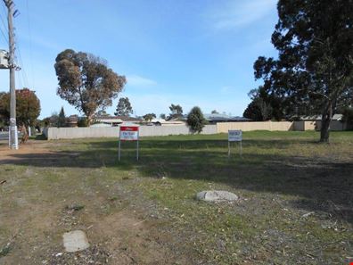 15 Banksia Avenue, Katanning WA 6317