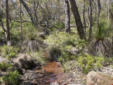 Lot 45 Sheoak Drive, Yallingup WA 6282
