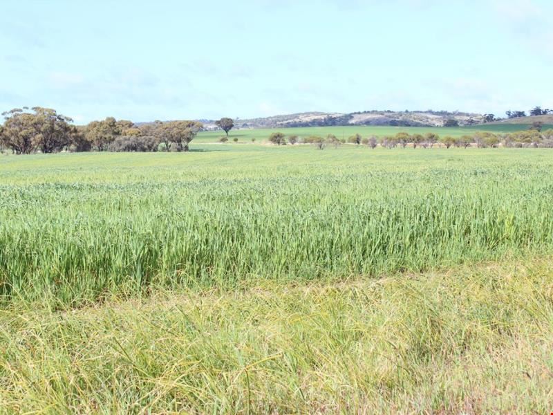 29576 Spencers Brook - York Rd, Spencers Brook WA 6401