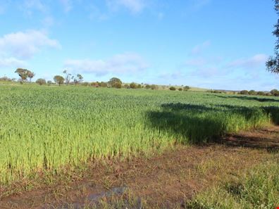 29576 Spencers Brook - York Rd, Spencers Brook WA 6401