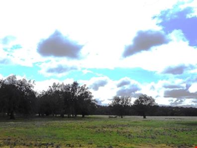 8 Shenton Road, Woodanilling WA 6316