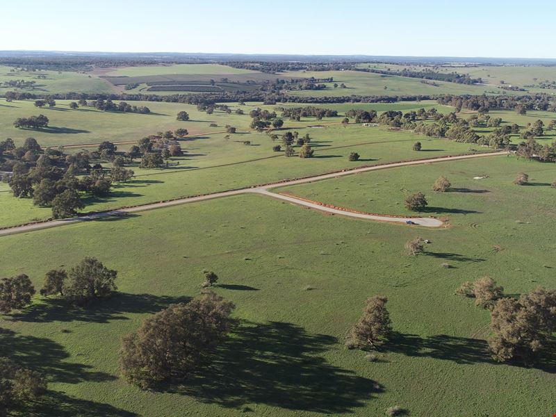 167 Warru  Road, Ginginup WA 6503