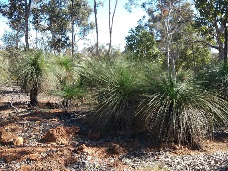 30/ Laterite Way, Toodyay WA 6566